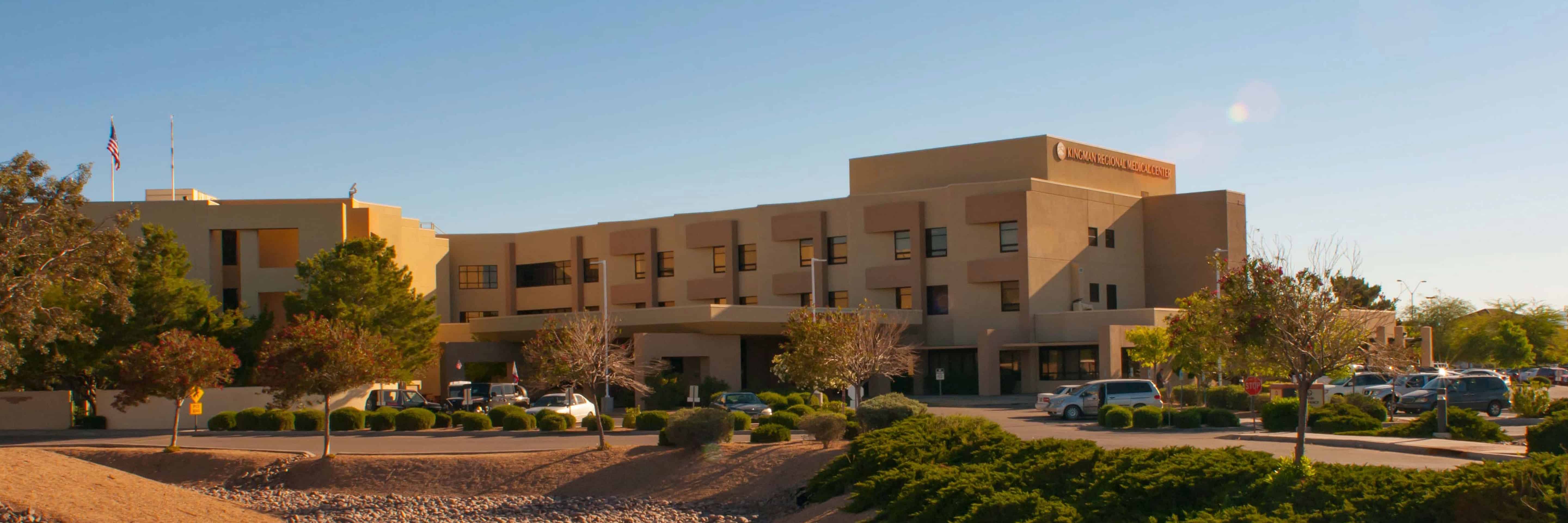 Non Clinical Nursing Jobs - zjz3smb